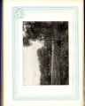 1915 Yearbook