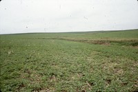 New Cooperator Award for modern farming on the Staab farm.