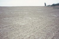 Dry cropland, 1988