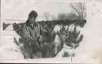 Man with mustache examines small pine tree in the snow