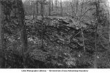 Shale exposure east of Mena, Ark., late 1890s or early 1900s