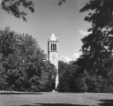 Campanile, 1952