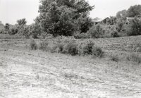 1995 Ditch Crossings on Dale Edmonds' Farm