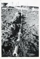 TOT Below Feedlot