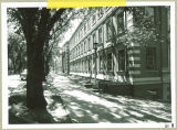 Sidewalk along Capitol Street in front of Chemistry-Botany Building, The University of Iowa, August 1956
