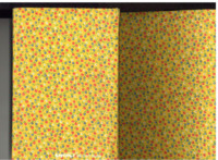 1965 "Poetic Reflections" students of Albion