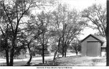 Crab apple trees in last leaf, Iowa City, 1900s