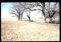 Erosion damage in a livestock pasture.