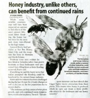 Honey industry, unlike others,<br />
can benefit from continued rains