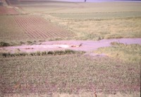 Water running through cropland 