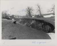 Gully erosion.