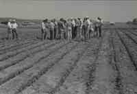 No-till farmers hold a meeting in a field