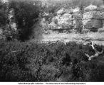 Ravine, Winterset, Iowa, late 1890s or early 1900s