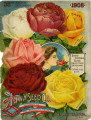 Iowa Seed Company Catalog 1908