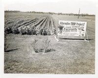 1986 Alternative Crop Project Sign