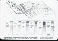 Upland Soil Chart