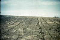 Rill erosion in Cherokee County, Iowa.