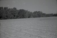 Drainage pipes in ground 
