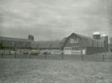 Cattle Barn