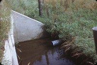 Waterway on Harry J Eischen's farm.