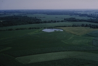Douglas Township, Section 8 &amp; 9.