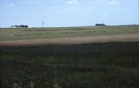 Conservation progress on Jim Fassler's farm.