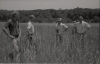 1970's Group of men in tall grass