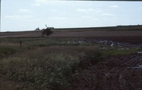 Conservation progress on Jim Fassler's farm.