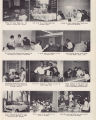 1955 yearbook