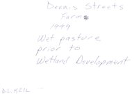 Dennis Streets pasture land, 1999