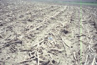 Dry cropland, 1988
