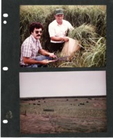 Sampling Crop Yield. 