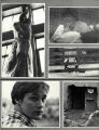 1982 Yearbook