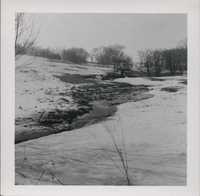 Sod waterway on Glen McCullough's farm.