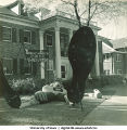 Kappa Alpha Theta sorority house decorated for Homecoming, The University of Iowa, November 1940