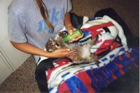 1997  Jill Westercamp, WAE Employee, feeds baby cougar
