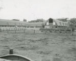Cattle Barn, 1958