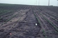 Soil erosion