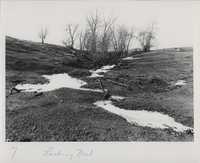 Gully erosion.