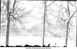 Campus view from Professor Samuel Calvin's office in Old Science Hall, The University of Iowa, 1895