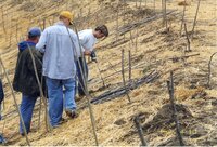 1999 Flint Creek Work day on Richard Olson's property