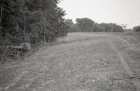 1995 Fields with tire tracks 