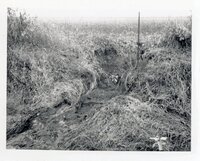 1970 Terrace washout