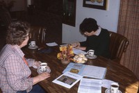 Conservation consultation at a clients home.