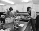 Botany students working on experiments in a lab in Bessey Hall, 1968