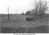 Bromley, Iowa. MStL