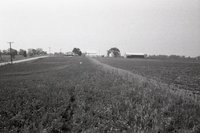 Photos of Pasture Land