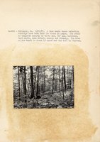1934 - 1938 Multi-State Photograph Collection  