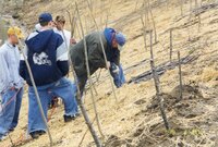 1999 Flint Creek Work day on Richard Olson's property