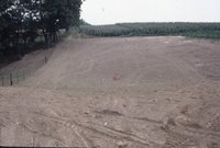 Graded dirt road near corn field